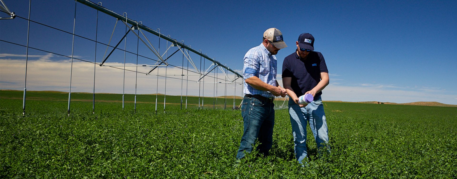 Farmer and Sales Rep looking at BONSILAGE product in field