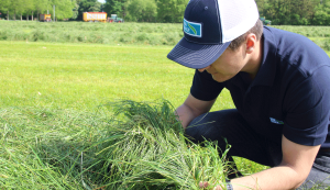 Haylage Harvest