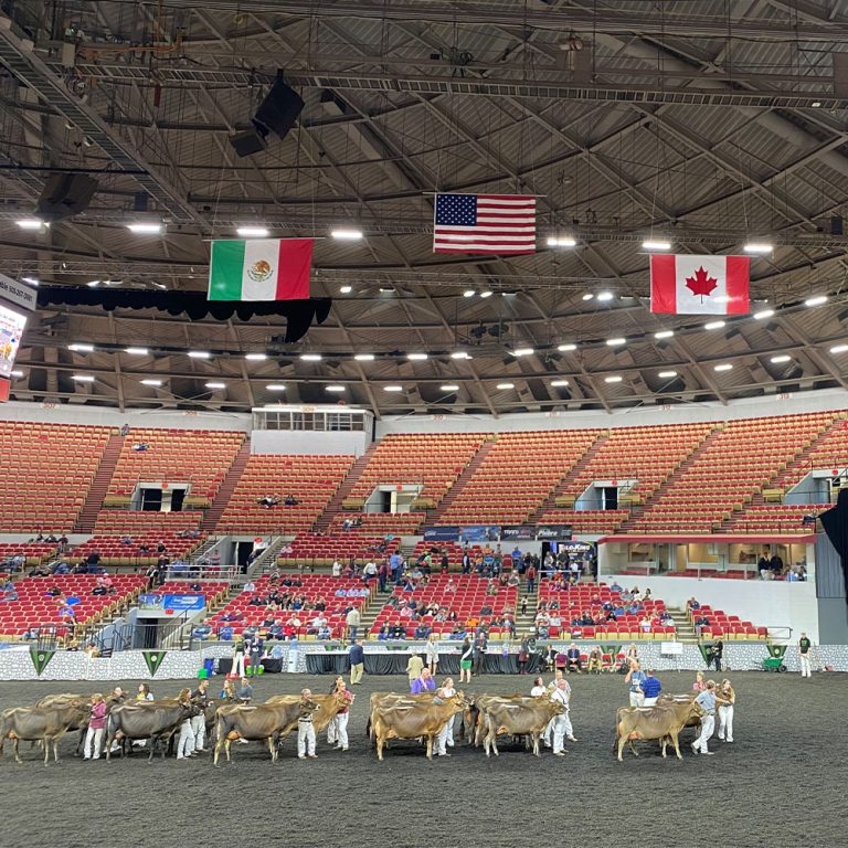 Wrapping Up World Dairy Expo 2022 BONSILAGE USA