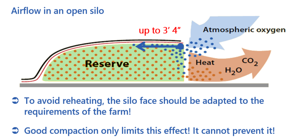Figure 1. Graphical representation of theoretical reach of atmospheric oxygen through a well packed silage face. A feedout rate of at least six inches per day decreases the time silage is exposed to oxygen, therefore minimizing yeast activity. 